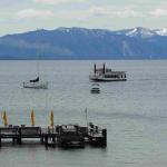 DSC03841_01 (June 15, 2020)